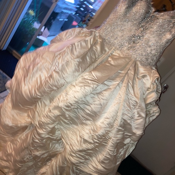 A One of a kind Baracci wedding gown or either evening gown can we use this both - Picture 7 of 8